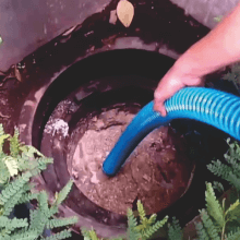 Jasa Penyedotan Sepiteng Makassar